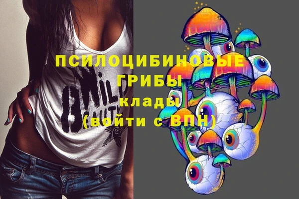 твердый Медногорск