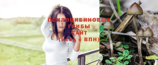 spice Абдулино