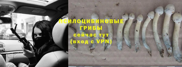 стафф Алексеевка
