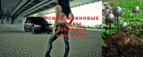 тгк Абинск