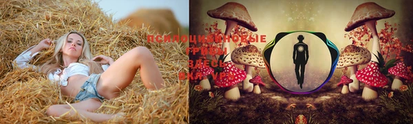 spice Абдулино