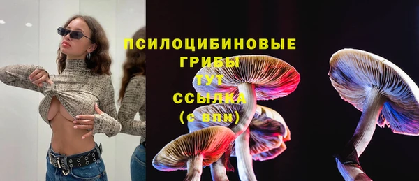 тгк Абинск